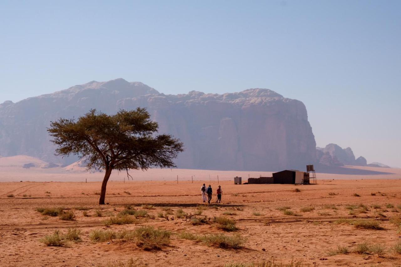 Desert Sky Camp&Tours Wadi Rum Eksteriør bilde